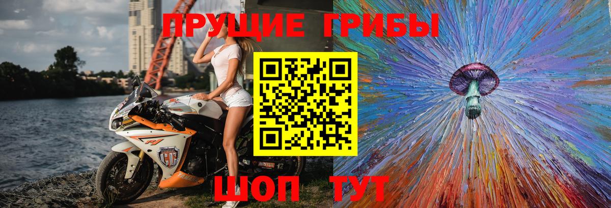 Псилоцибиновые грибы GOLDEN TEACHER  Галлюциногенные грибы Magic Shrooms  Кропоткин  Вход с VPN 